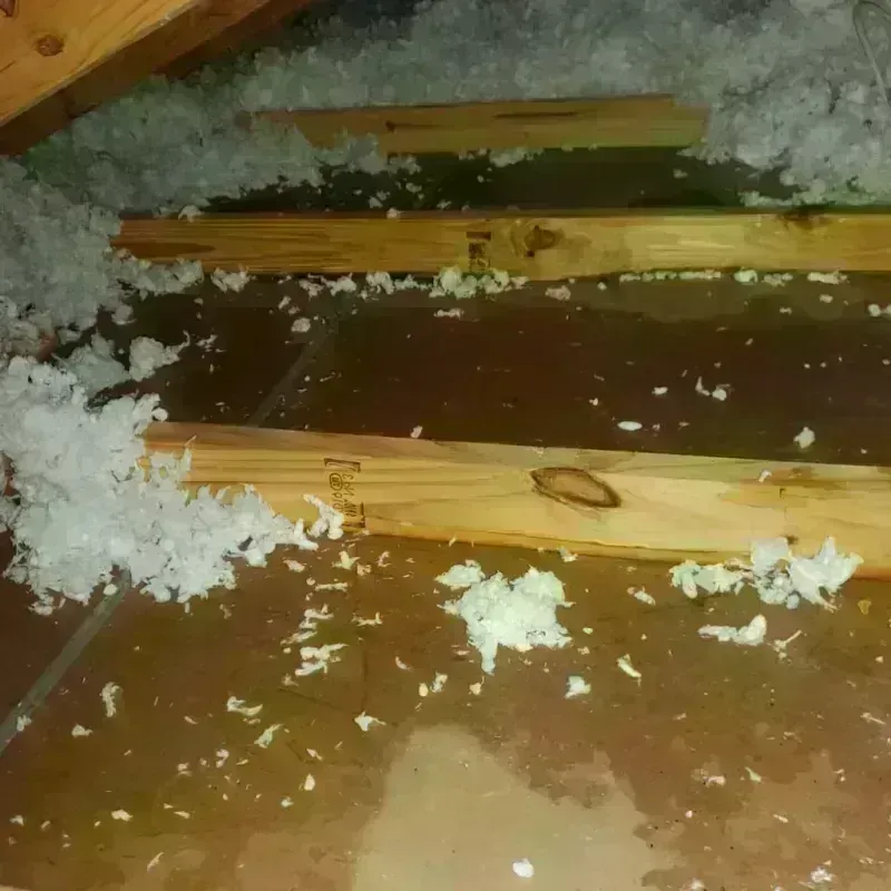 Attic Water Damage in Blacklick Estates, OH